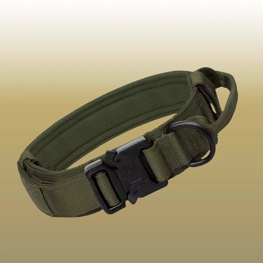 Outdoor Tactical Dog Collar