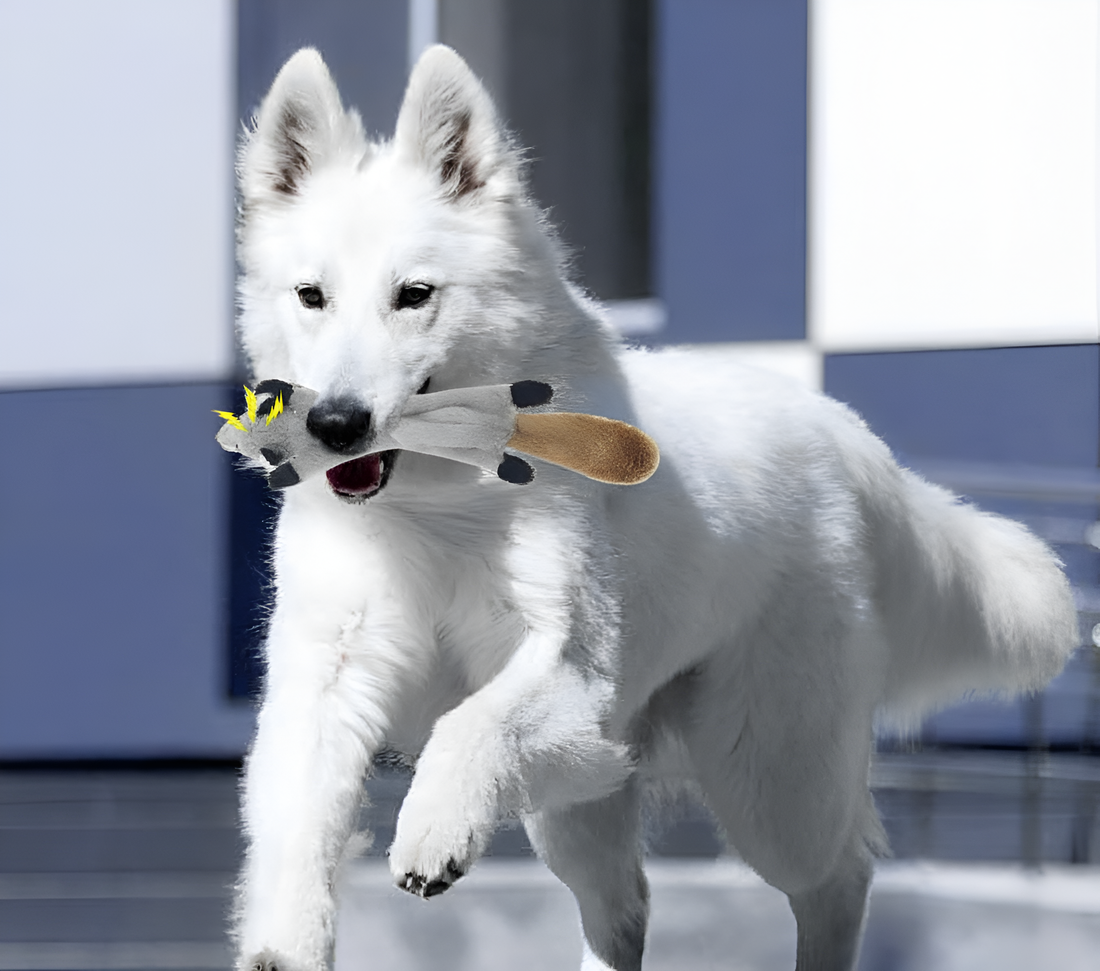 Simulated Animal Squeak Toy