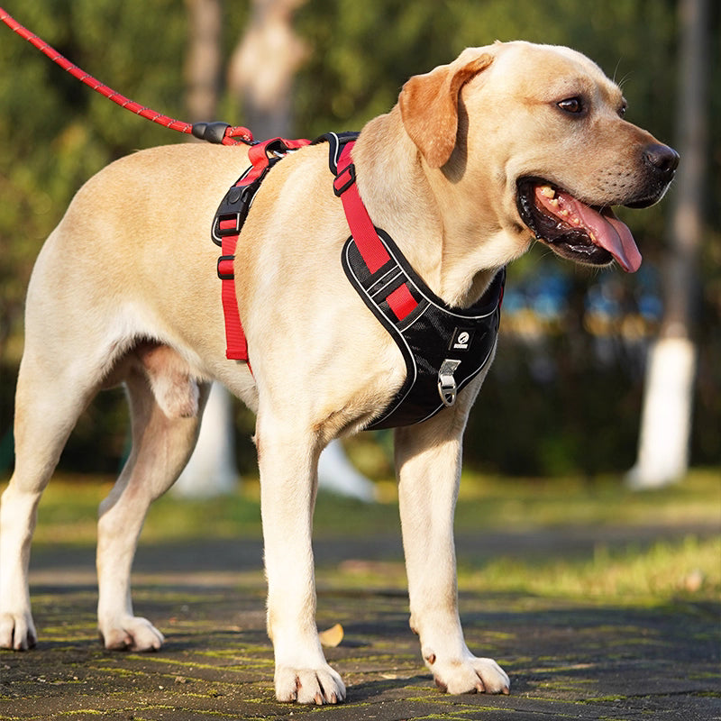 Reflective Tactical Dog Harness