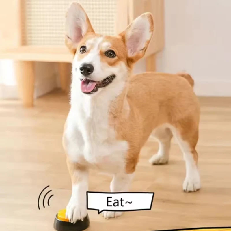 Talking Pet Communication Button