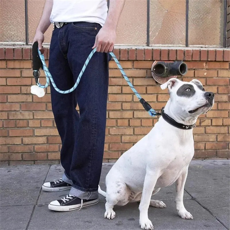 Reflective Heavy Duty Dog Leash