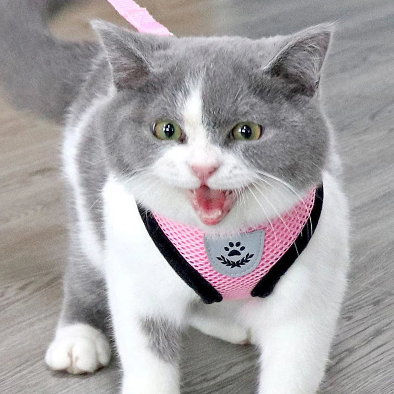 Reflective Mesh Dog Harness