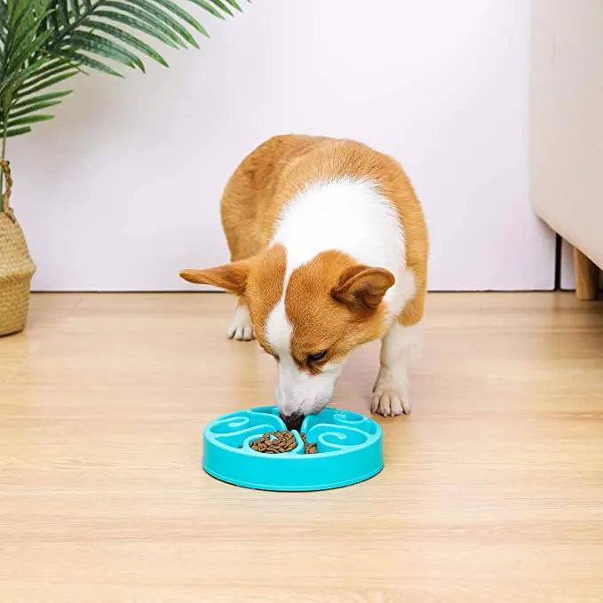 Pet Dog Slow Feeder Bowl