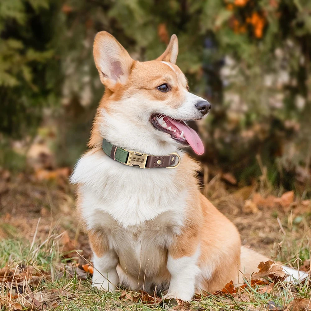 Free Custom PU Leather Dog Collar