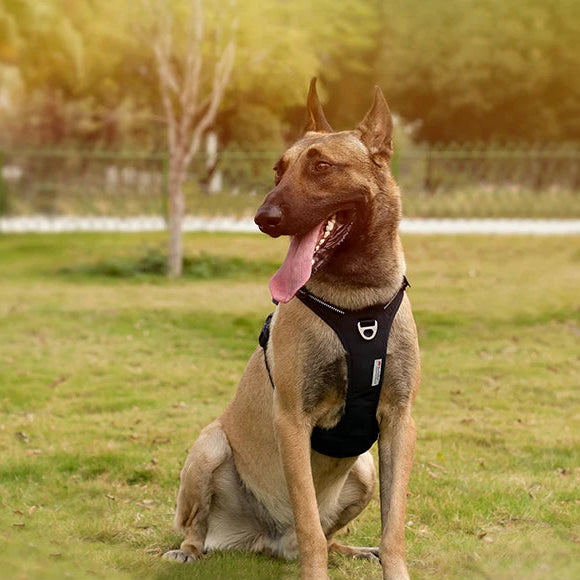 Reflective Nylon Dog Harness