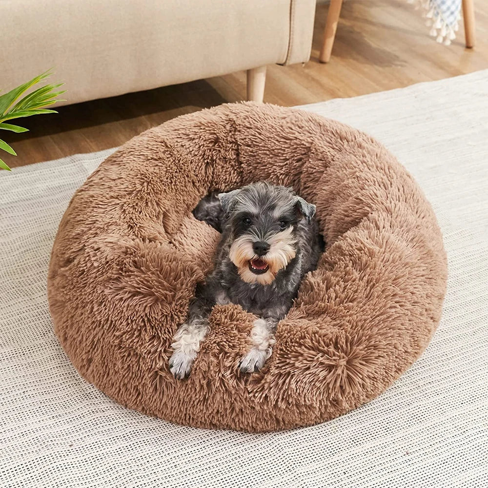 Eco-Friendly Pet Bed