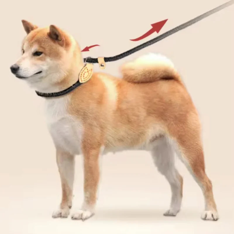 Heavy Duty Braided Rope Dog Leash