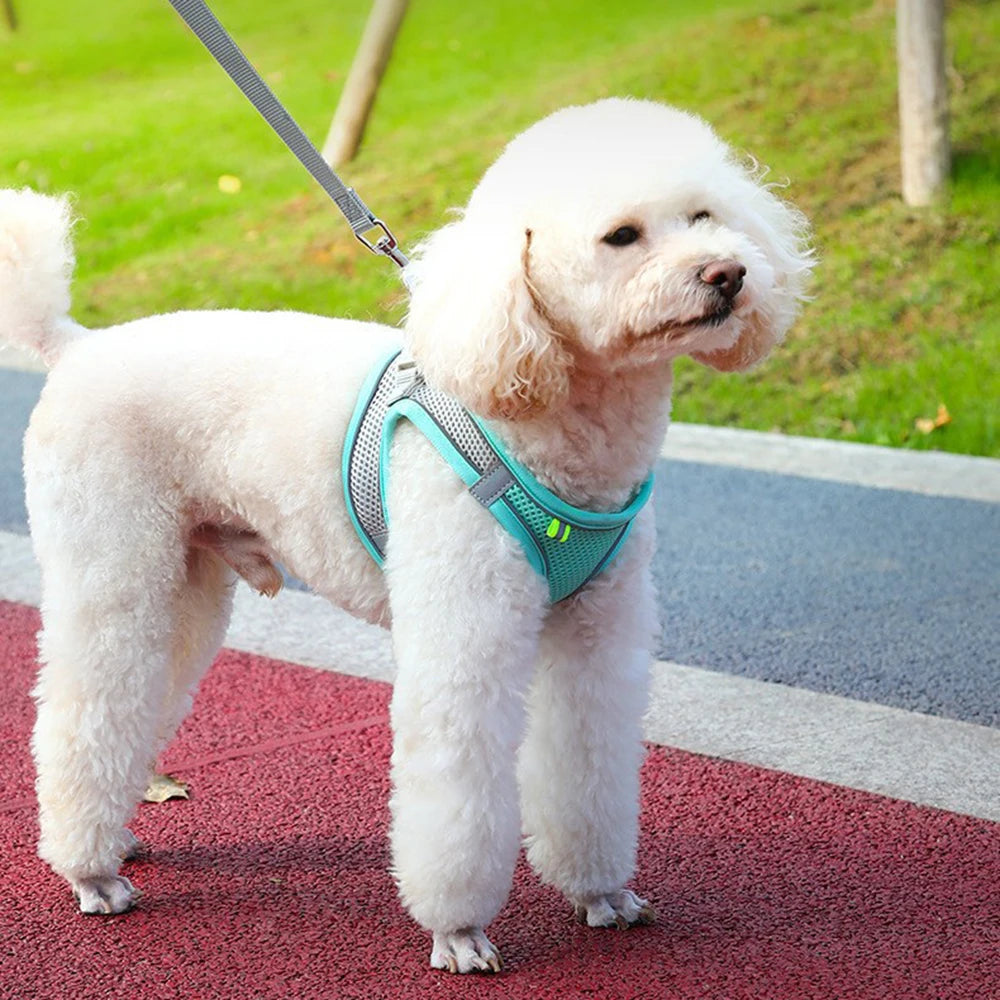 Reflective Nylon Dog Harness