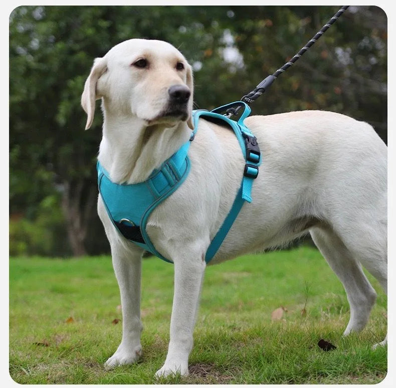 Reflective Dog Harness Set