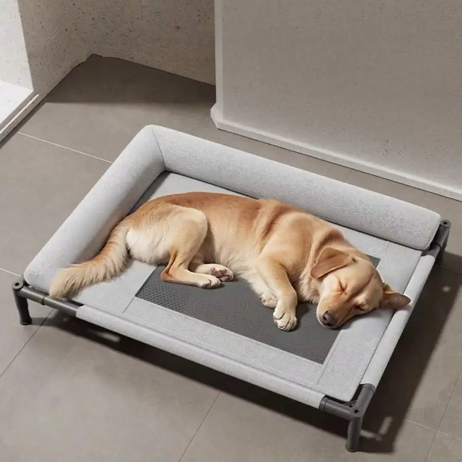 Breathable Off-the-Ground Dog Bed